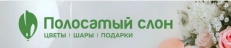 Полосатый слон